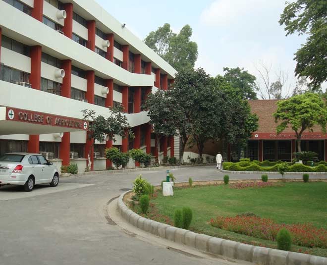 haryana agriculture university