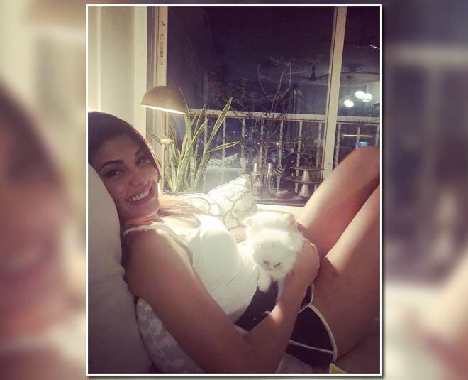 home decor by jacquline