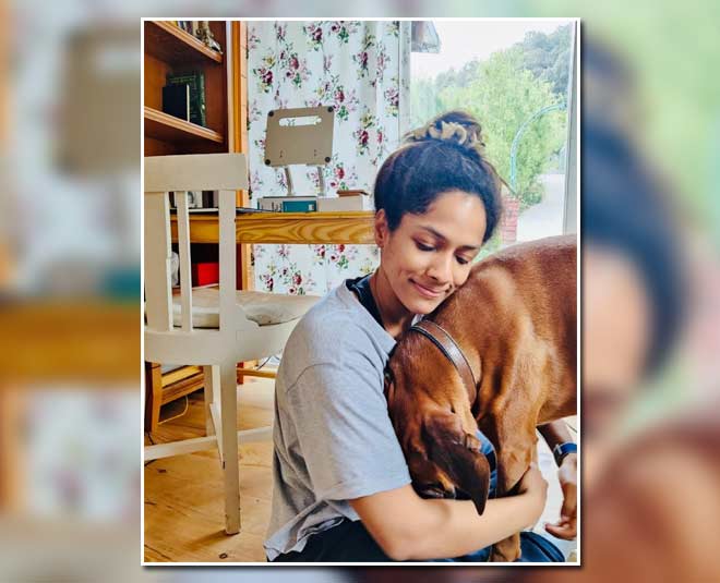 home decor by masaba