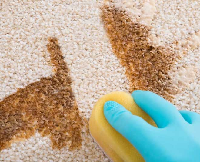 how-to-get-rid-of-coffee-stains-from-carpet-in-hindi-how-to-get-rid