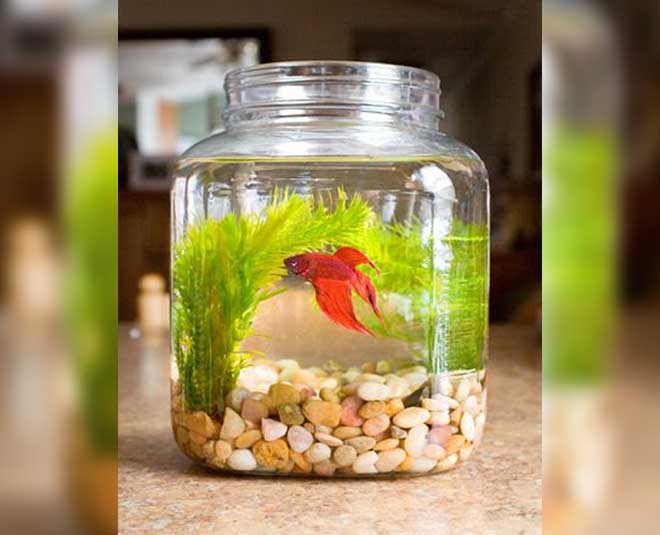 how to reuse flower vase