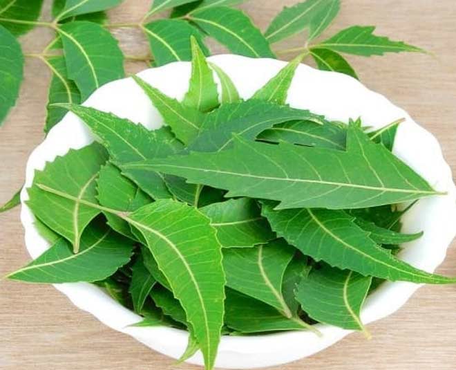 know how to get rid of insects from besan