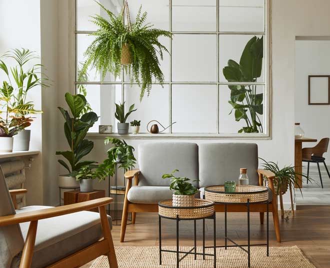 Indoor Plants Liven Up These 6 Homes | Architectural Digest | Architectural  Digest