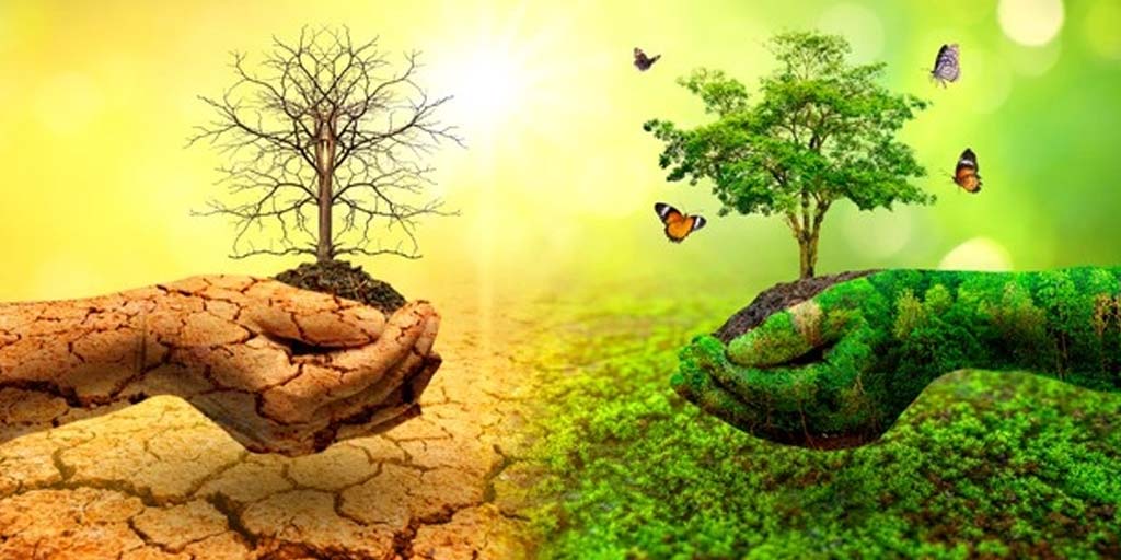 Nature Wishes Quotes Messages Whatsapp Facebook Status For Your Loved Ones In Hindi नेचर से