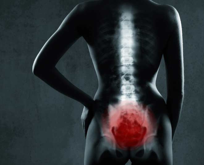 pelvic pain in back