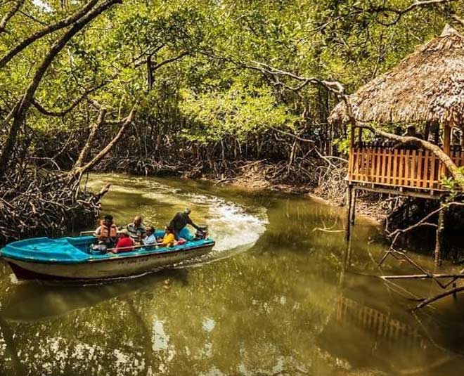 places to visit in baratang