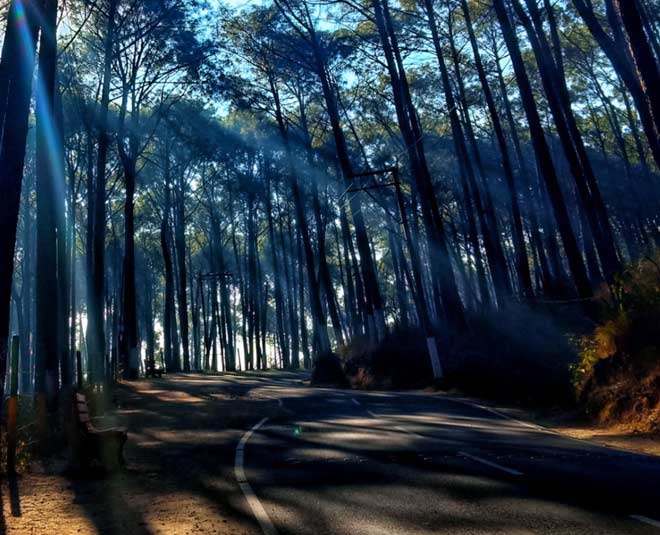 places to visit in hamirpur naduna inside 