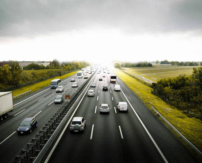 reason behind why trees planted alongside highway