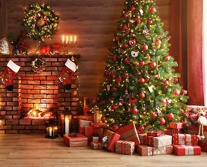 Tips for Buying Christmas Trees in Hindi | tips for buying christmas trees | HerZindagi