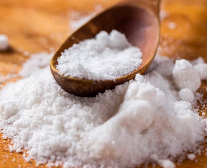 things to do before planting any houseplant inside 