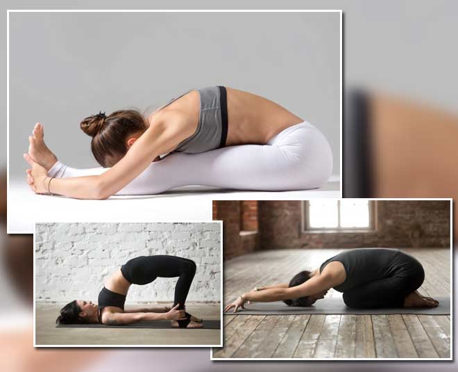 top  yoga for beginners 