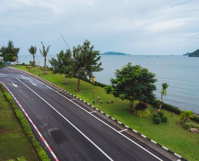 trees planting alongside highway reason