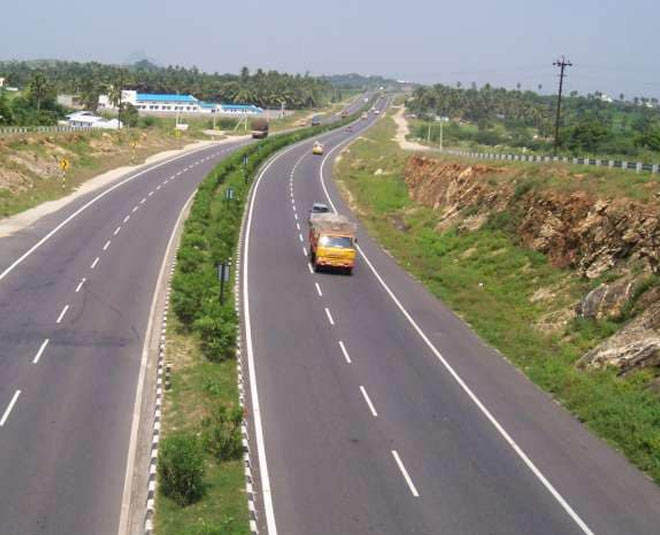 why trees planted near highway