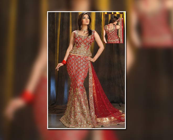 Cream And Red Net Embroidery Work Fish Cut Designer Lehenga Choli