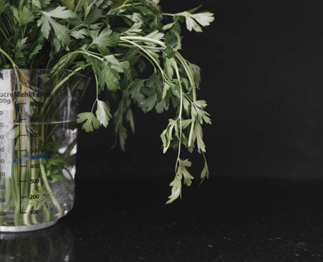 Coriander water inside 