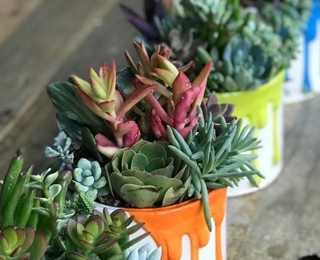 Know About Some Amazing Ways To Reuse Old Paint Bucket In Hindi know