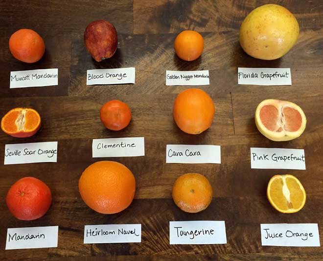 difference between tangerine and mandarin and clementine