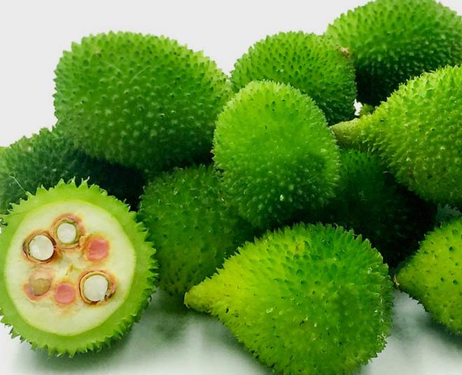about spine gourd health benefits inside 
