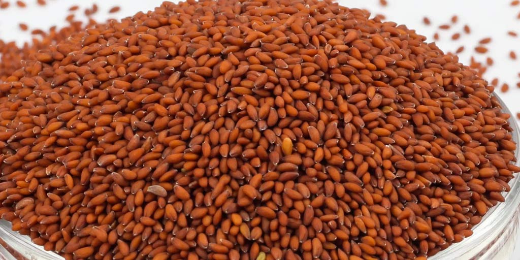 health-benefits-of-aliv-seeds-health-benefits-of-aliv-seeds