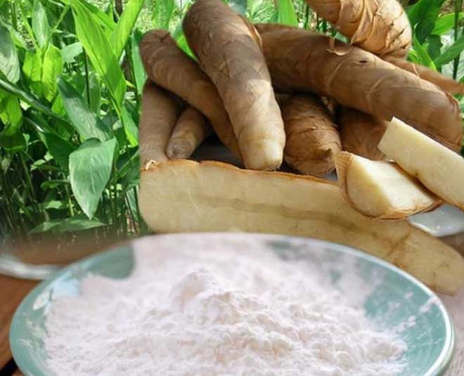 arrowroot-benefits-good-for-health-in-hindi-arrowroot-benefits-good