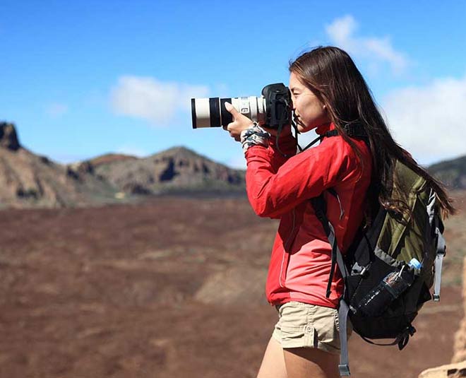 career as wildlife photographer inside 