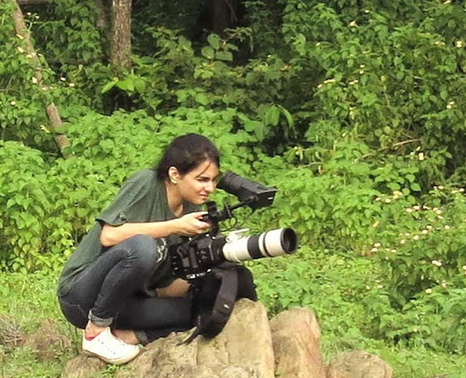 career as wildlife photographer inside 