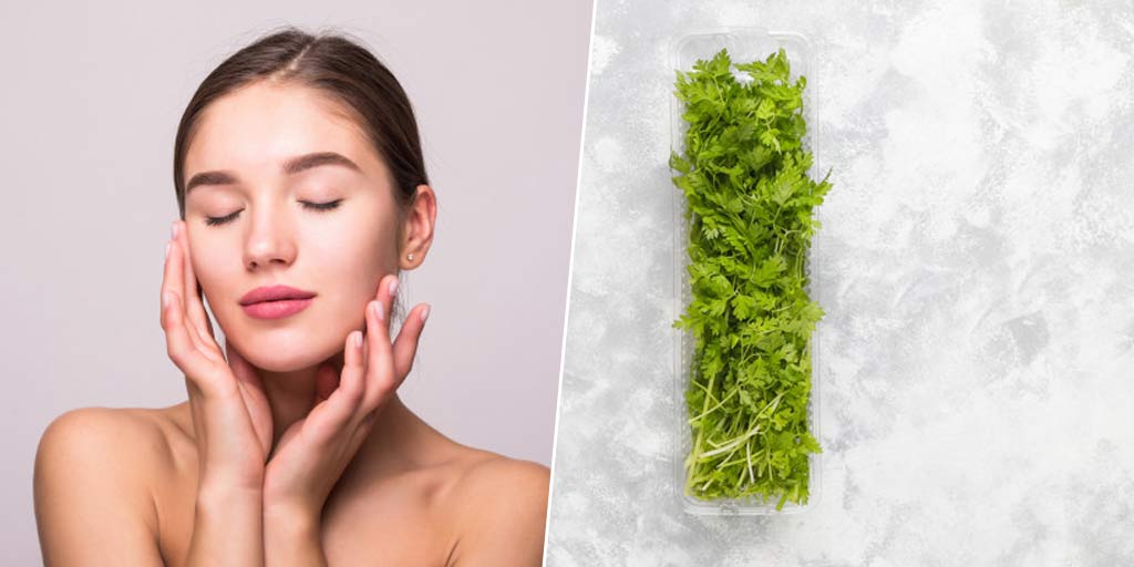 This Guide Will Help You Use Dhaniya Or Coriander Leaves For SkinThis