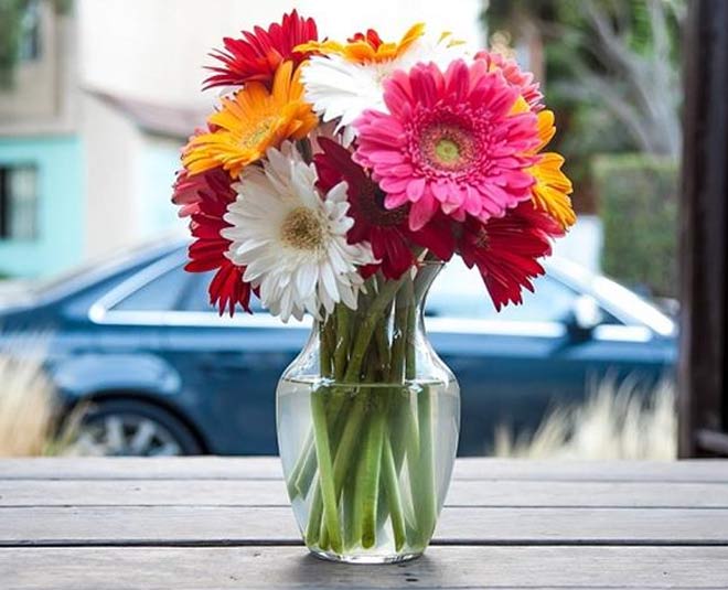 different ways to use of vinegar inside 