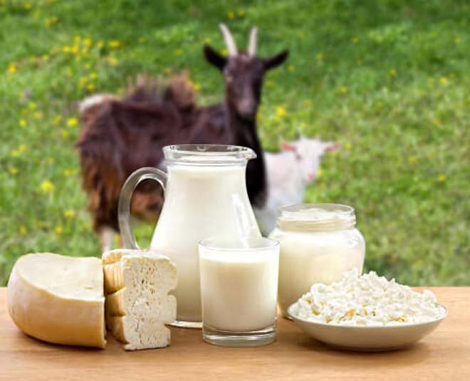 goat milk and its benefits tips inside 