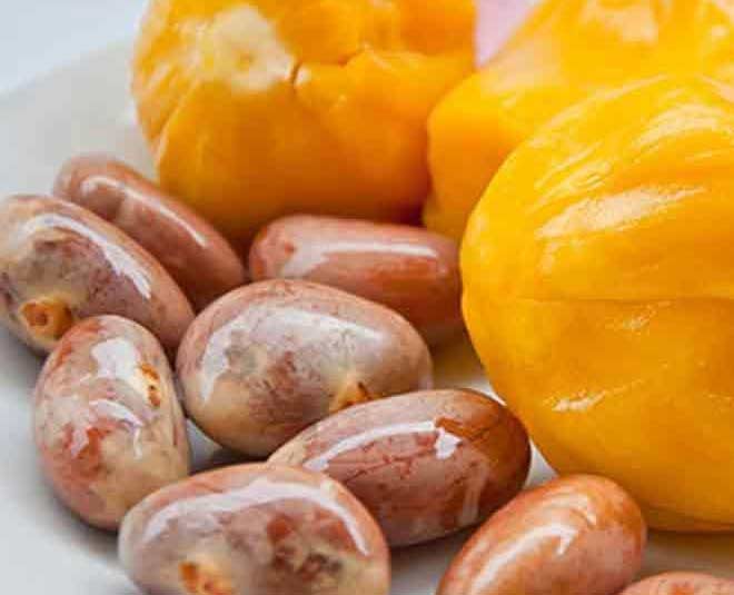 jackfruit seeds benefits ideas insidd 