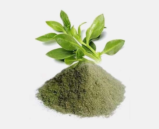 know about kalmegh plant and benefits inside 