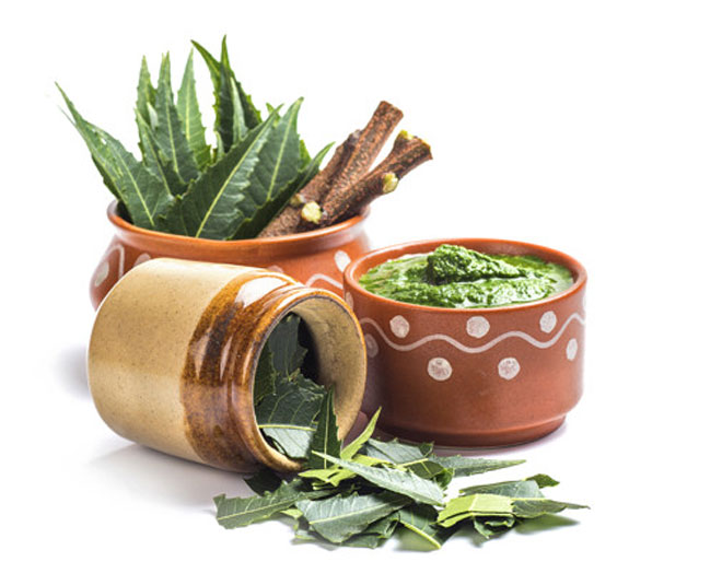 neem leaves