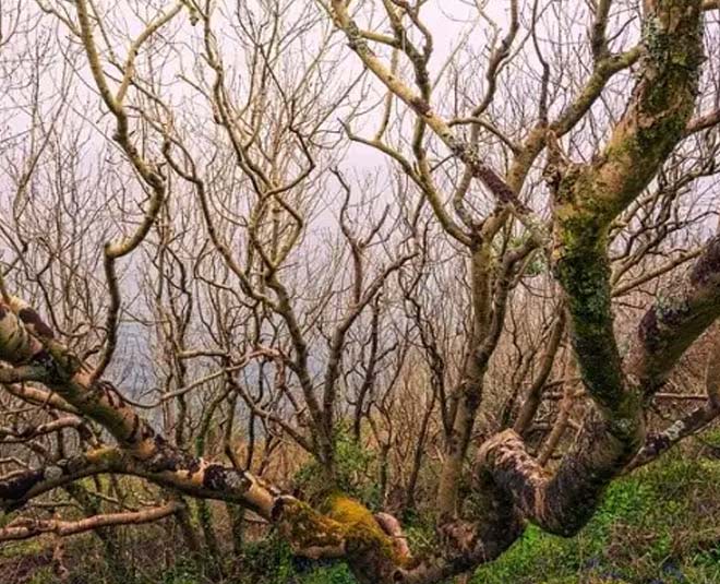 odisha travel inside 