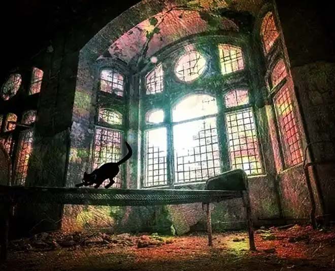 odisha travel inside 