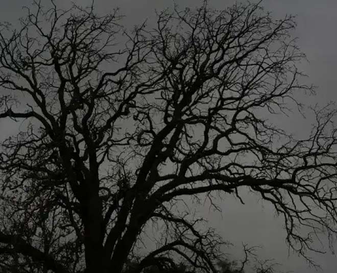 odisha travel inside 