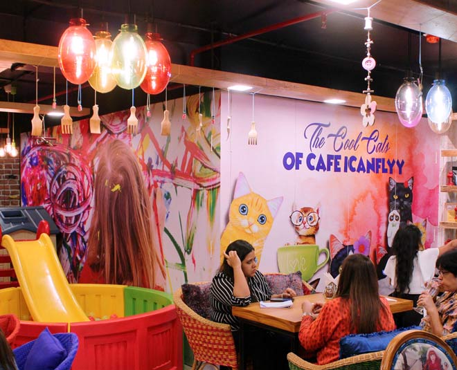 Know About Some Best Cafe In Kolkata In Hindi know about some best