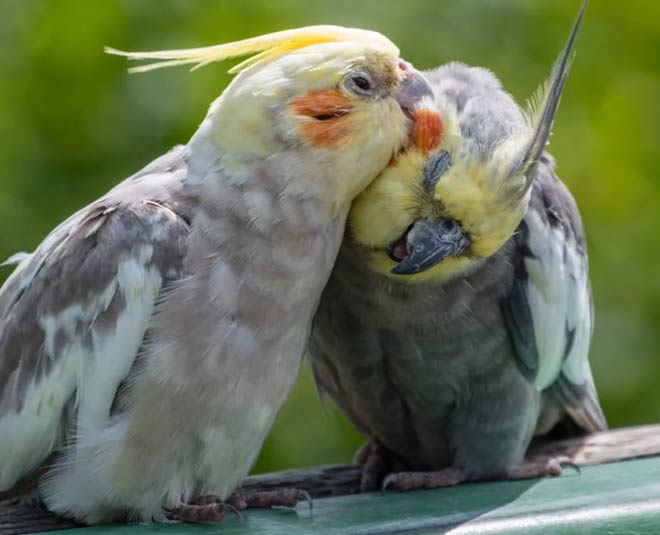 places to visit harsil in uttarakhand INSIDE 