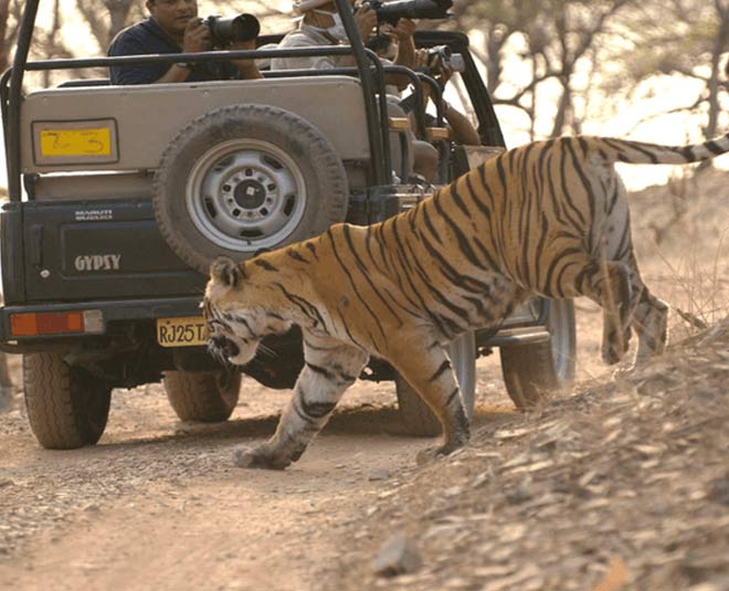 rajasthan places to visit inside 