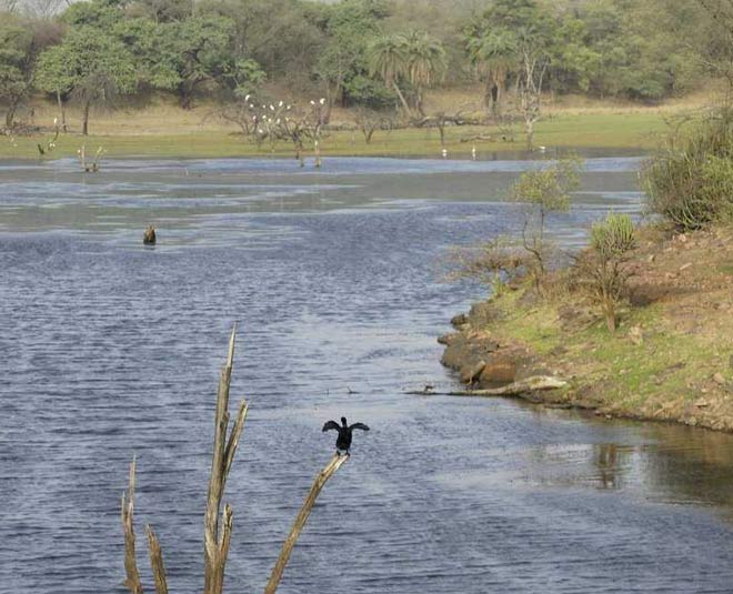 rajasthan places to visit inside 