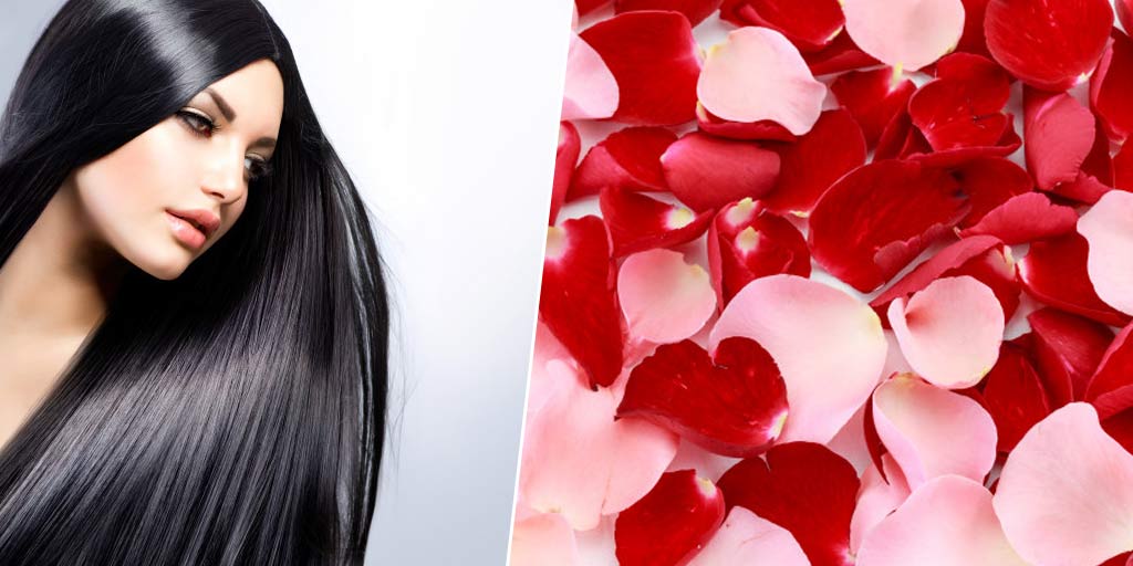 how-to-use-rose-petals-for-hair-in-hindi-how-to-use-rose-petals-for