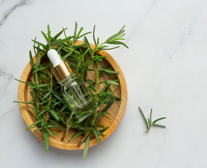 rosemary essential oil