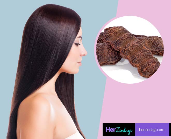 Hair Care Tips: Benefits of Shikakai for Hair in Hindi | benefits of shikakai for hair in hindi | HerZindagi Hair Care Tips: Benefits of Shikakai for Hair in Hindi | benefits of shikakai for hair in hindi | HerZindagi