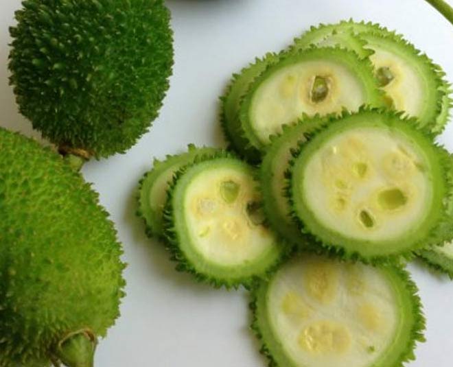 spine gourd health benefits inside 