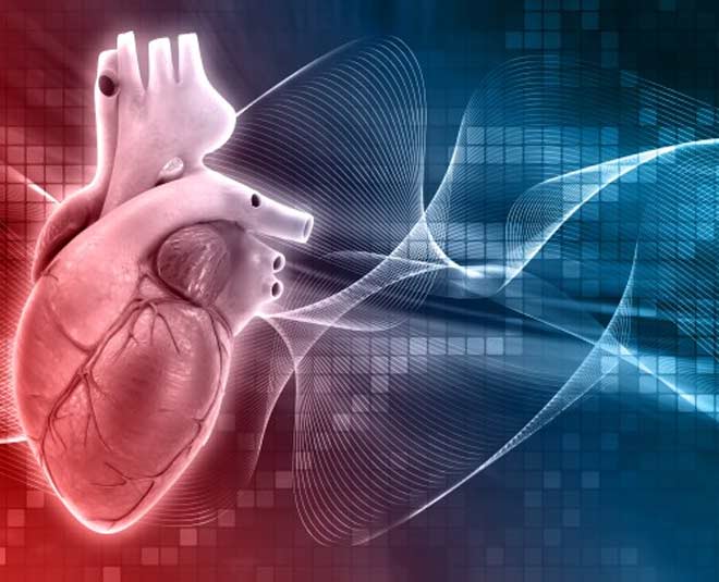 सवाल: डाइट में किन चीज़ों को जरूर शामिल करना चाहिए? triglycerides vs cholesterol