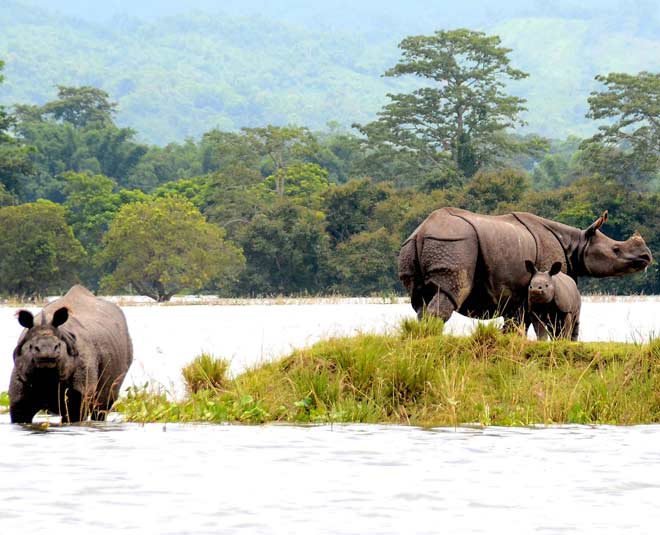 wildlife experience inside 