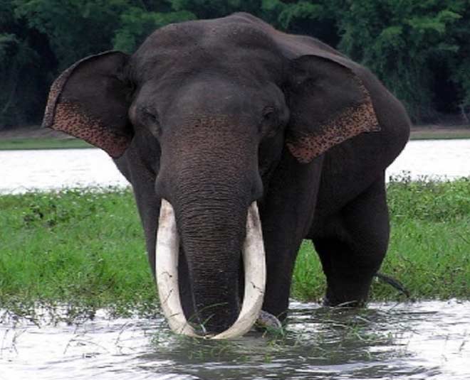 wildlife experience inside 