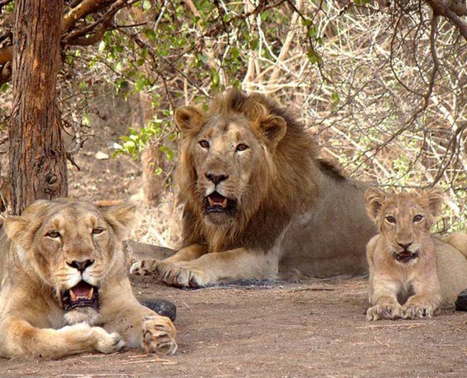 wildlife experience inside 