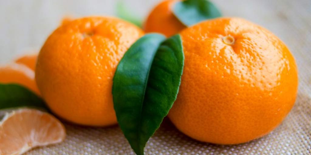 tangerine fruit vs clementine