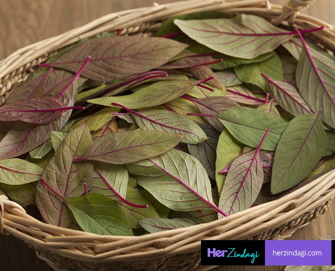 Health Benefits Of Amaranth Leaves In Hindi | health benefits of ...