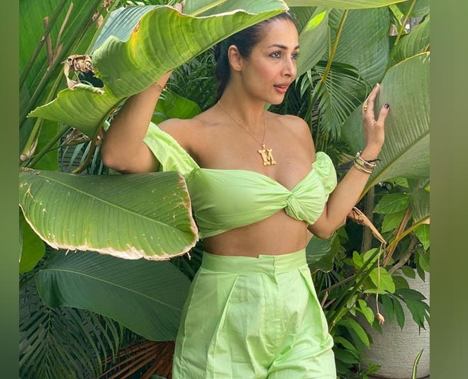 disha vacations inside 